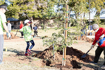Community Volunteer Program